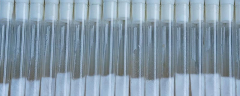 菌种保存方法 高中生物菌种保存方法