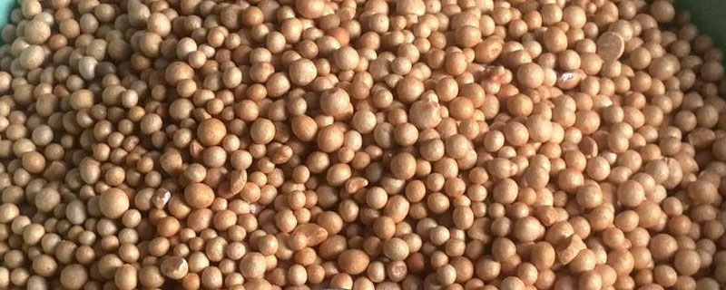 控释肥撒到植物上会烧叶吗 肥料施多了会烧叶片吗