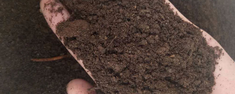 羊粪发酵后是颗粒状还是粉末（羊粪如何发酵做有机肥是颗粒的好还是粉末的好）