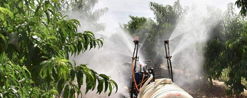 氧化乐果不能打什么树 氧化乐果打果树落果吗