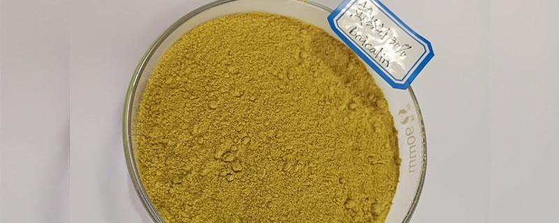 黄芩甙和黄芩苷区别 黄芩苷和汉黄芩苷区别