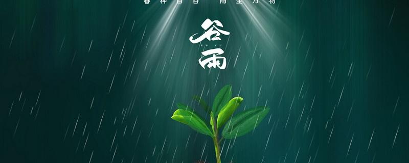 谷雨有什么特点