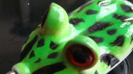 路亚雷蛙的操作技巧 路亚教学:雷蛙的使用技巧!新手都可以轻松上手!