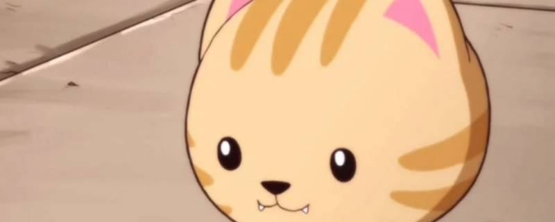 汉斯猫是哪国 汉斯猫是哪国外号