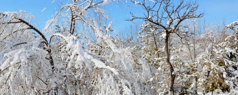 立春后下雪吗（立春后还有雪吗）