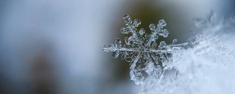 雪花的形状具备什么特点（雪花的特点和形状）