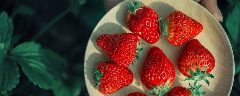 一个草莓还是一颗草莓 草莓是一颗草莓还是一个草莓