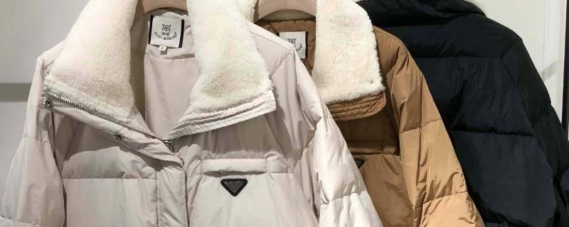 羽绒服不可干洗是什么意思 羽绒服表明不能干洗
