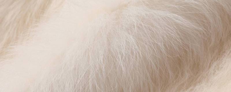 托斯卡纳羊毛是什么毛 托斯卡纳羊毛是什么样的