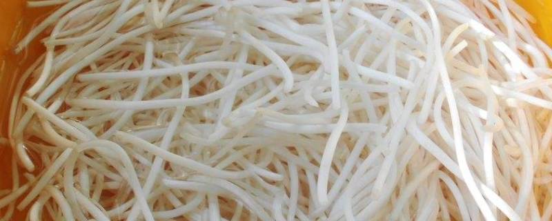 银芽是什么菜 碧玉炒银芽是什么菜