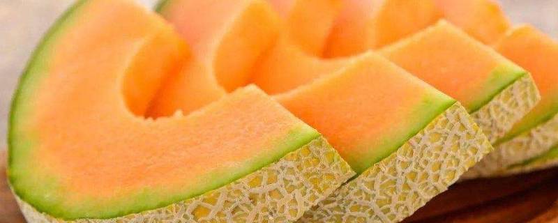 口口蜜是什么水果（口口蜜是啥）