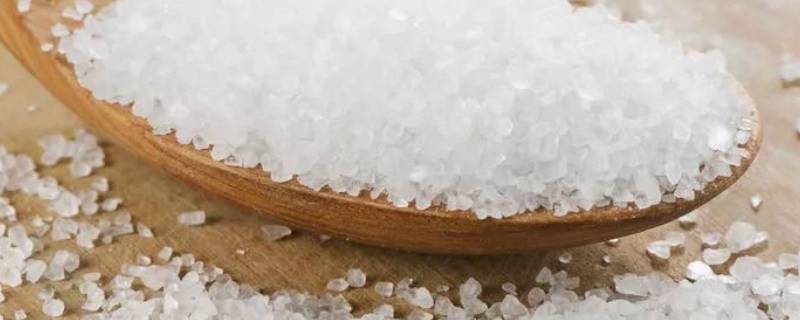 盐能不能去腥味 盐水可以去腥味吗