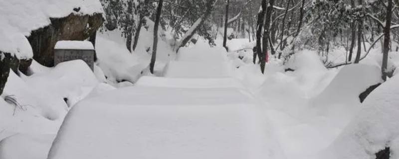 食用盐可以化雪除冰吗（食用盐能除雪吗）