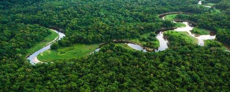 亚马逊雨林被誉为什么（亚马逊雨林的成因）