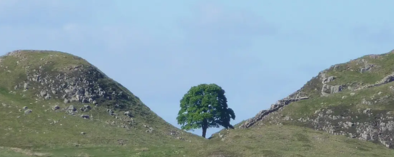 土堆成的山叫什么（连绵的山叫什么大而高的山叫什么土堆成的山叫什么）