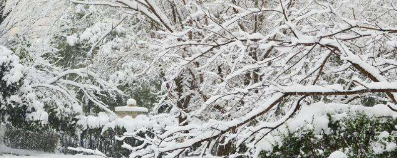 四毫米雪是多厚（四毫米降雪有多厚）