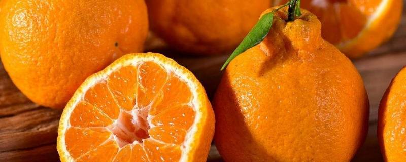 丑桔和耙耙柑外型上怎样区分（耙耙柑跟丑橘是一个品种吗）