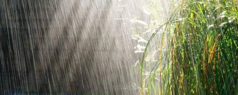 梅雨是对流雨还是锋面雨（对流雨与锋面雨的区别）