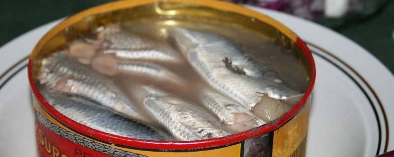 鲱鱼罐头什么臭味 鲱鱼罐头是不是很臭