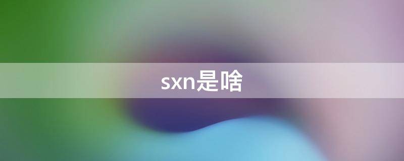 sxn是啥（sxn是啥意思）