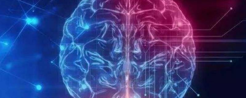 活体机器人是什么意思（世界上首个活体机器人）