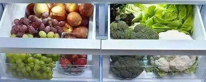 冬天菜需要放冰箱吗（冬天菜还要放冰箱吗）