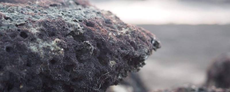 藻礁是什么（台湾所说的藻礁是什么）