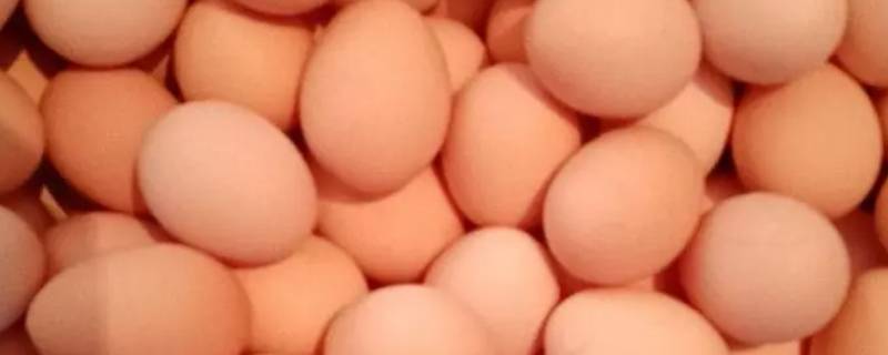 鸡蛋放冰箱能放多久 煮好的鸡蛋放冰箱能放多久