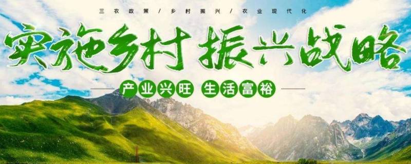什么是解决农村一切问题的前提 解决农村问题的根本途径