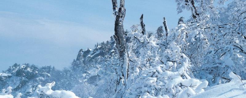 大雪节气能理发吗 大雪节气可以理发吗