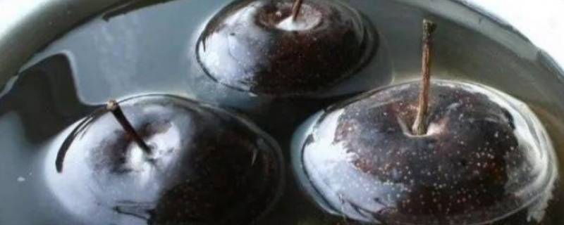 冻梨用什么品种的梨 冻梨用什么品种的梨图片