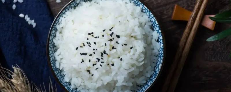 一个人的米饭需要多少水和米 两个人的米饭需要多少米多少水