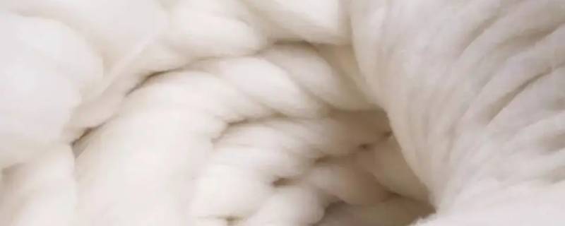 羊绒和山羊绒有什么区别啊（山羊绒和羊绒一样吗）