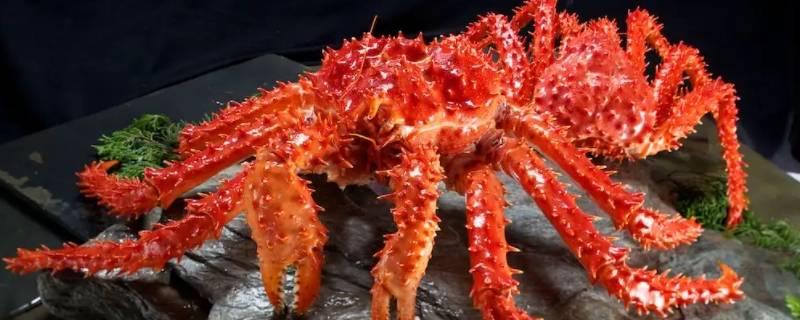 帝王蟹放冰箱是冷冻还是冷藏（帝王蟹可以放冰箱冷藏吗）