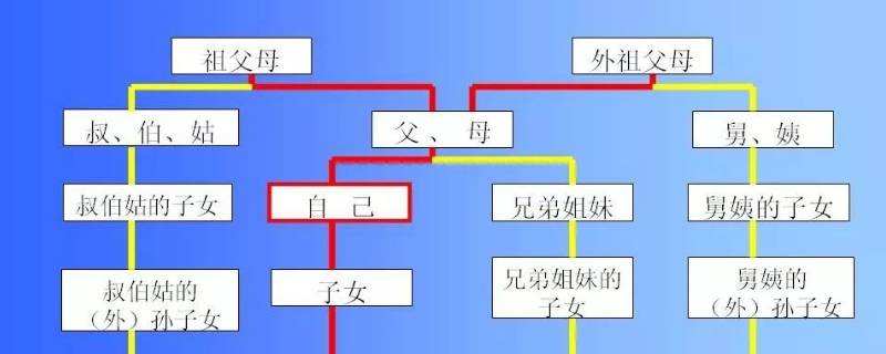 兄妹是直系亲属吗 亲生兄妹是直系亲属吗
