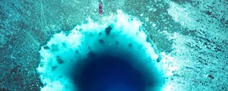 海眼是什么 海眼是什么海鲜