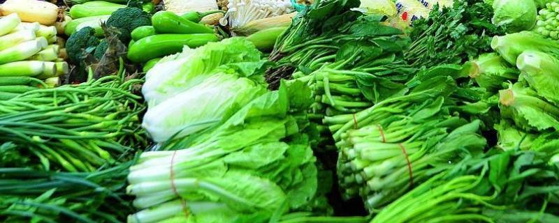 9月时令蔬菜有哪些 9月时令蔬菜有哪些豆芽