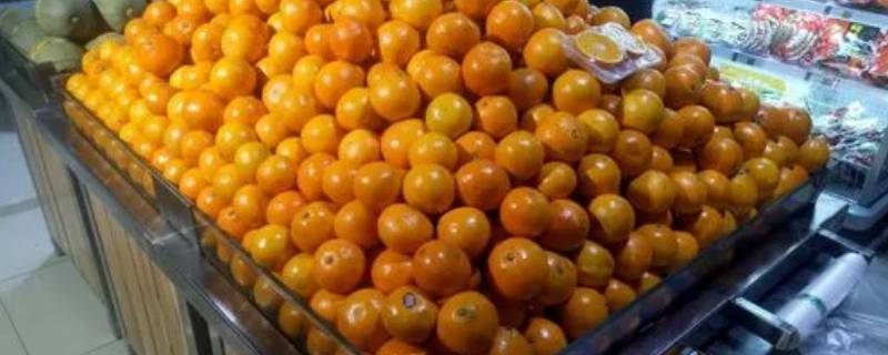 11月当季蔬菜水果有哪些（十一月份蔬菜水果）