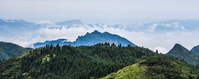 武陵山海拔高度多少米（武陵岩海拔多少）