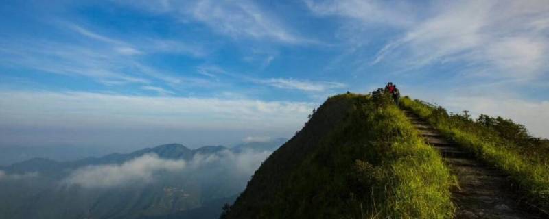 铜鼓峰海拔有多高（铜鼓峰风景区海拔高度）