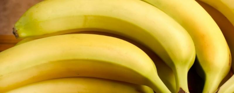 香蕉是水果吗 香蕉是水果吗?