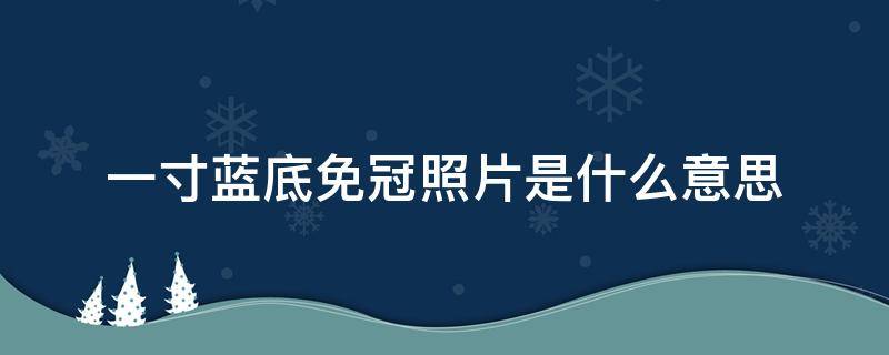 一寸蓝底免冠照片是什么意思 两寸蓝底免冠照片是什么意思