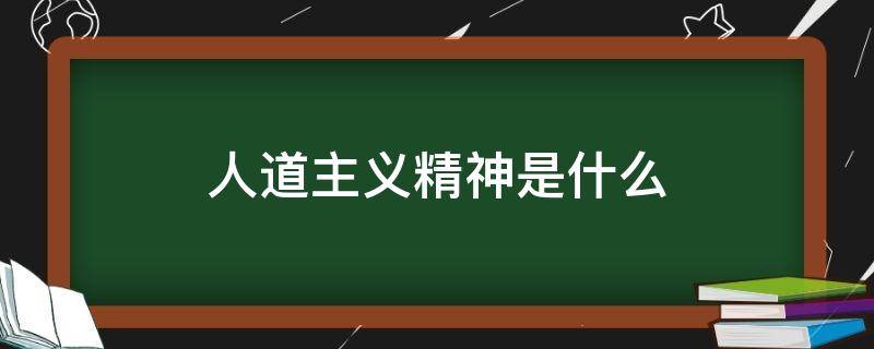 人道主义精神是什么 人道主义精神是什么意思