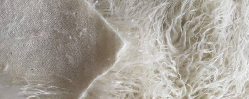 滩羊毛是属于什么毛（什么叫滩羊毛）