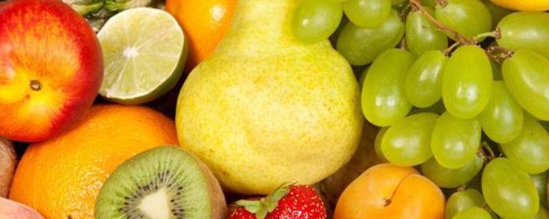 9.10月份应季水果（九月中旬应季水果）