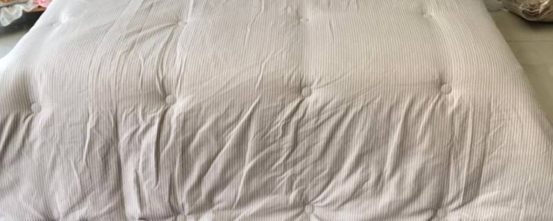 大豆被是啥（大豆被是啥做的）