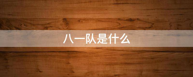 八一队是什么（八一队是什么意思）