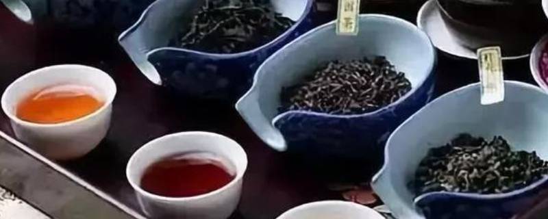 茶的品种有哪些 玫瑰花茶的品种有哪些