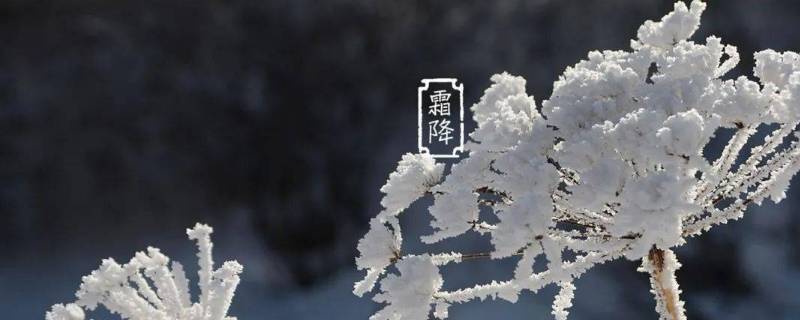 霜降说说 霜降说说发朋友圈