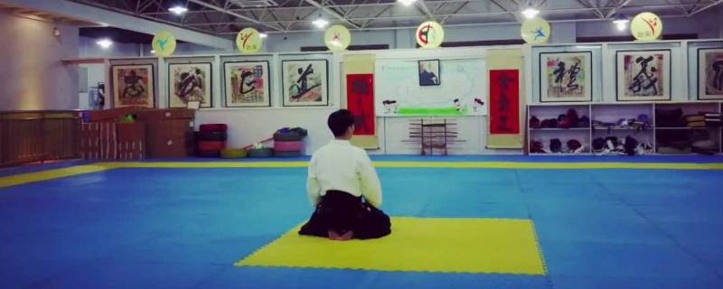 合气道是啥 合气道百度百科